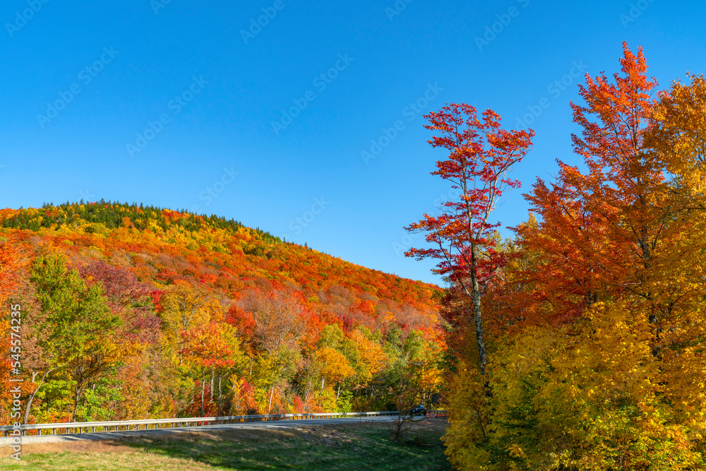 landscape of autumn mountain forest