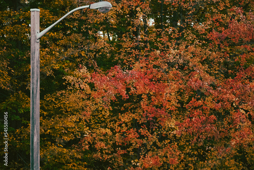 street lamp in the park