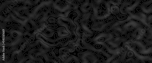 Topographic map background concept. Topo contour map. Rendering abstract illustration. Vector abstract illustration. Geography concept. paper texture design .Imitation of a geographical map .	
