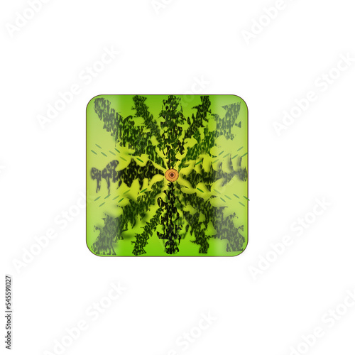 watermelon icon on white bavkground photo