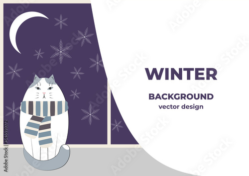 Winter snowflakes outside the window. A cat in a scarf on the windowsill. The background for the text is made in gray-blue tones