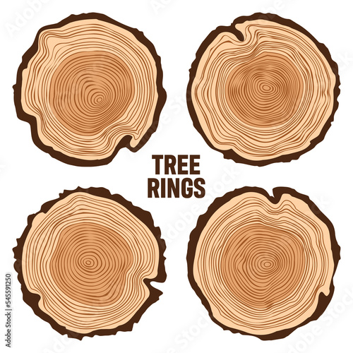 Round tree trunk cuts, sawn pine or oak slices, lumber. Saw cut timber, wood. Brown wooden texture with tree rings. Hand drawn sketch. Vector illustration
