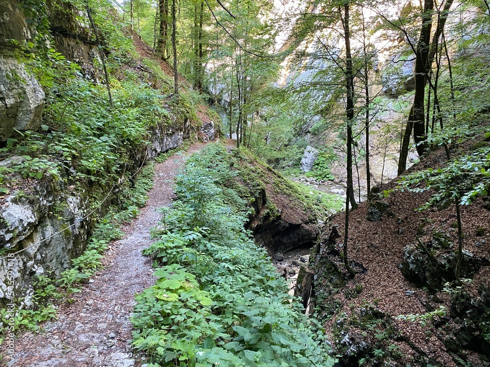 Special geomorphological reserve Devil's Pass canyon or Devil's Passage - Croatia (Posebni geomorfološki rezervat Vrazji prolaz ili značajni krajobraz Vražji prolaz, Skrad - Gorski kotar, Hrvatska) Special geomorphological reserve Devil's Pass canyon or Devil's Passage - Croatia (Posebni geomorfološki rezervat Vrazji prolaz ili značajni krajobraz Vražji prolaz, Skrad - Gorski kotar, Hrvatska)