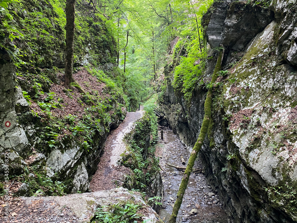 Special geomorphological reserve Devil's Pass canyon or Devil's Passage - Croatia (Posebni geomorfološki rezervat Vrazji prolaz ili značajni krajobraz Vražji prolaz, Skrad - Gorski kotar, Hrvatska) Special geomorphological reserve Devil's Pass canyon or Devil's Passage - Croatia (Posebni geomorfološki rezervat Vrazji prolaz ili značajni krajobraz Vražji prolaz, Skrad - Gorski kotar, Hrvatska)