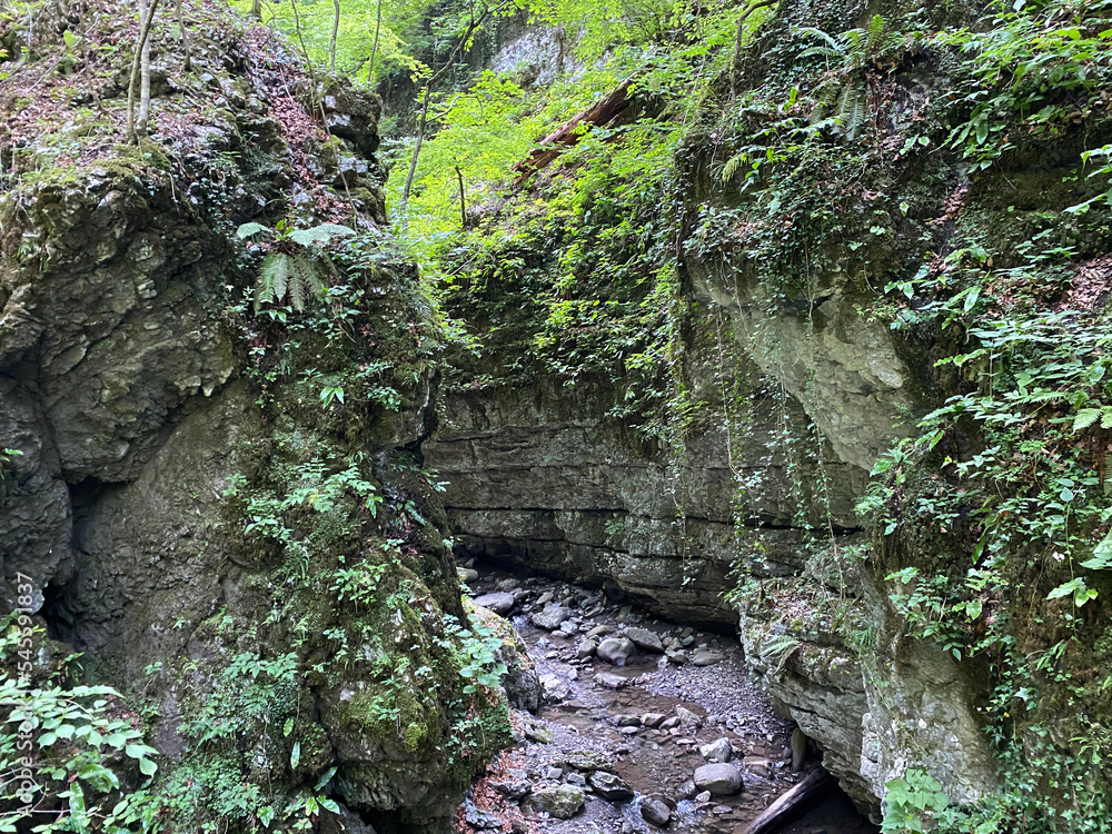 Special geomorphological reserve Devil's Pass canyon or Devil's Passage - Croatia (Posebni geomorfološki rezervat Vrazji prolaz ili značajni krajobraz Vražji prolaz, Skrad - Gorski kotar, Hrvatska) Special geomorphological reserve Devil's Pass canyon or Devil's Passage - Croatia (Posebni geomorfološki rezervat Vrazji prolaz ili značajni krajobraz Vražji prolaz, Skrad - Gorski kotar, Hrvatska)
