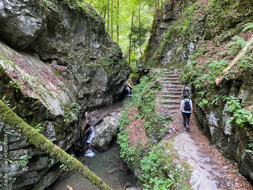 Special geomorphological reserve Devil's Pass canyon or Devil's Passage - Croatia (Posebni geomorfološki rezervat Vrazji prolaz ili značajni krajobraz Vražji prolaz, Skrad - Gorski kotar, Hrvatska) photo