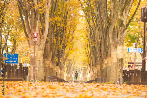 紅葉の杜の都