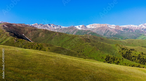 alpine meadow in the mountains © KAIRZHAN