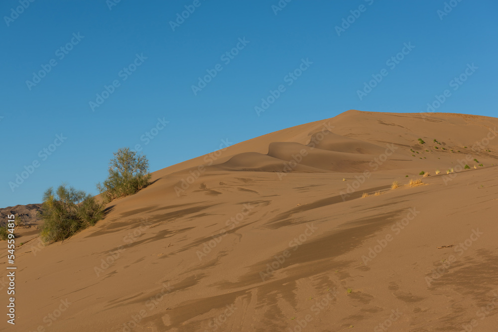 Giant sand dune on a summer day