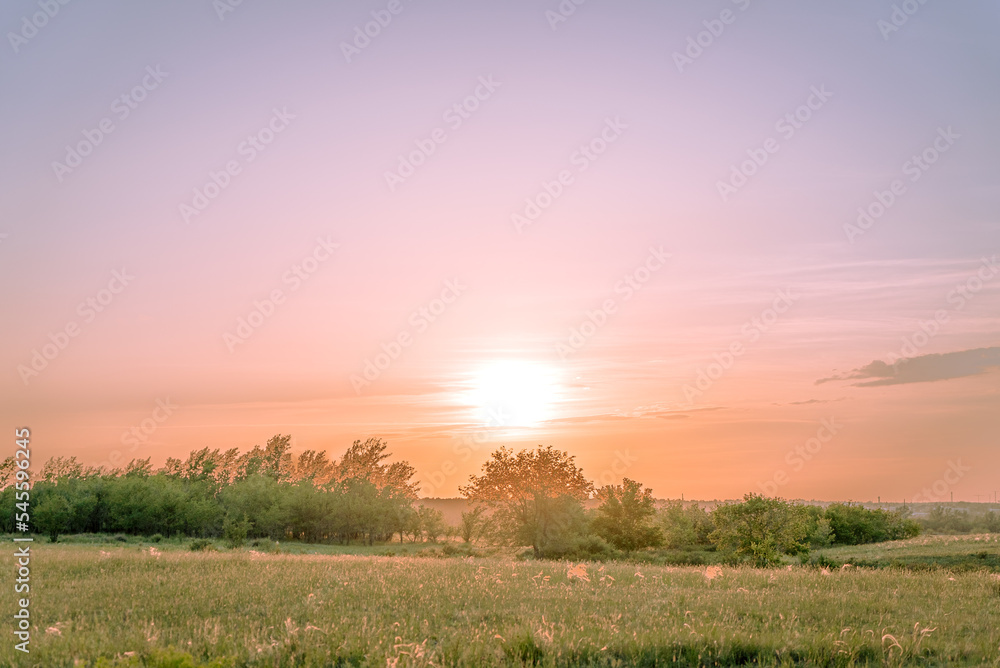 Obraz premium sunset in the field