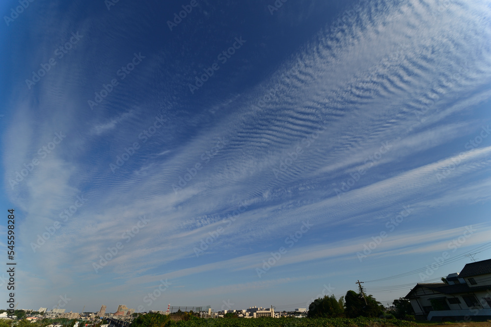 Fototapeta premium 鱗雲、秋のはじまり