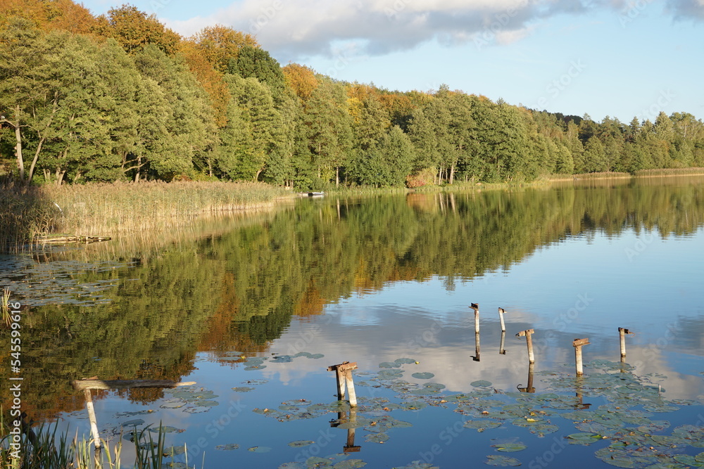 panorama jeziora Ostrzyckiego, Kaszuby - obrazy, fototapety, plakaty 