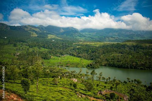 Wallpaper Mural Chinnakanal, Munnar, Kerala, India Torontodigital.ca