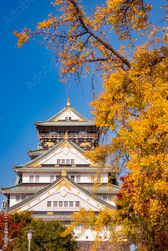 osaka castle in autumn