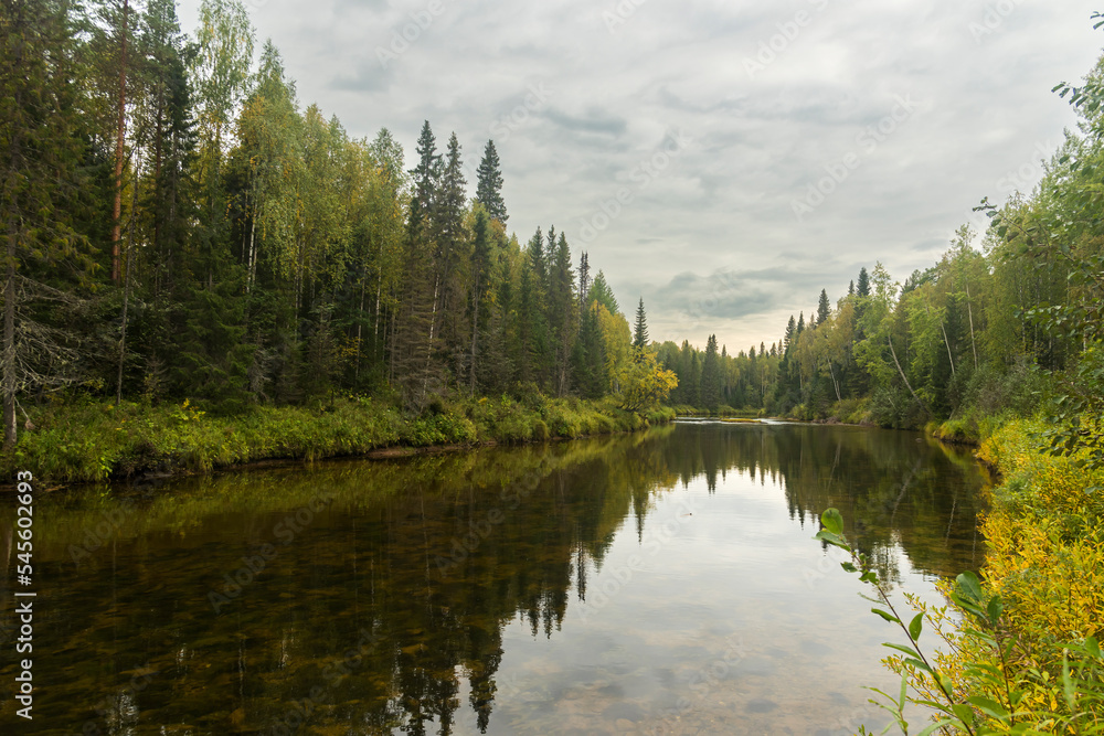 a quiet river Sotka with clear water in a wild forest in the north of the Arkhangelsk region in Russia.