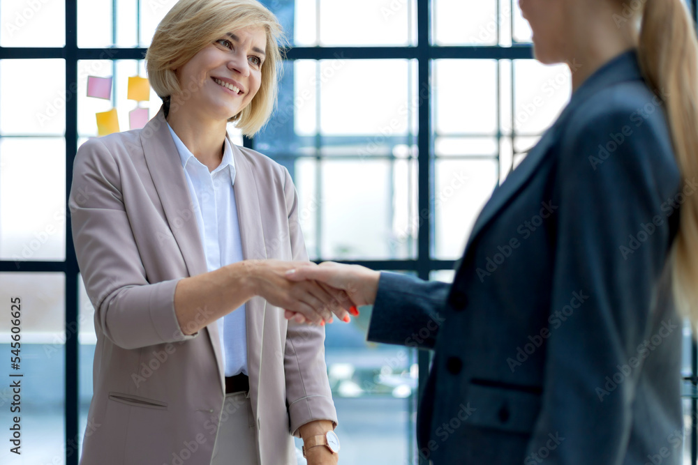 Fototapeta premium Image of two business women shaking hands after set a deal.