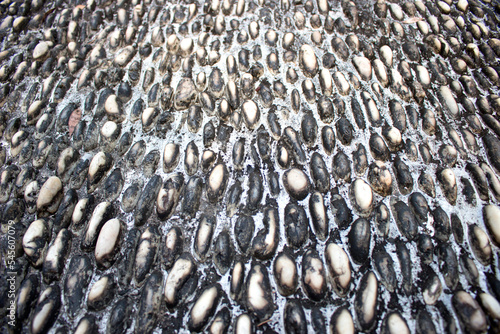 Stone texture crocodile skin