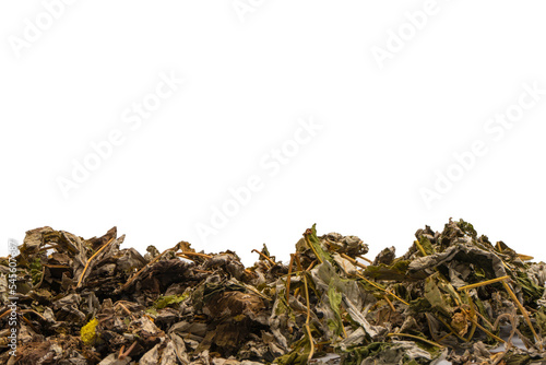 Dry tea leaves and dry fruit isolated on white background.