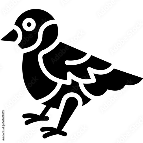 bullfinch bird solid icon