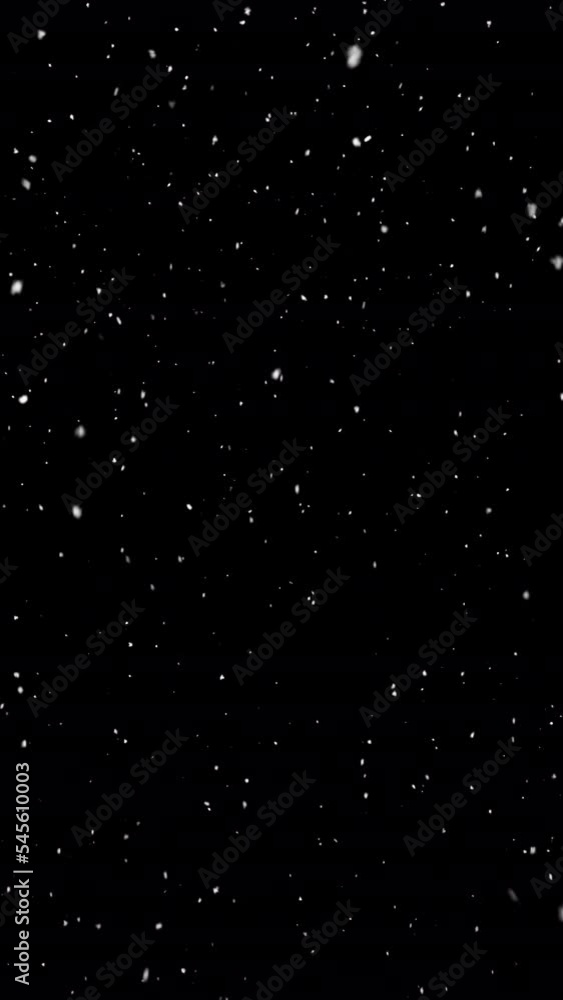 Vertical falling snow animation, winter snow seamless loop. Alpha channel
Vertical falling snow animation, winter snow seamless loop. Alpha channel