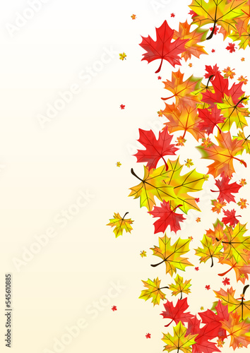 Golden Floral Background Beige Vector. Plant October Illustration. Yellow Decoration Foliage. Flying Leaf Card.