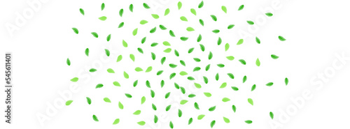Green Leaf Background White Vector. Leaves Drink Texture. Forest Frame. Greenish Template Card. Foliage Creative.