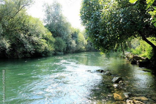 the green  nature and the Cetina river, Croatia photo