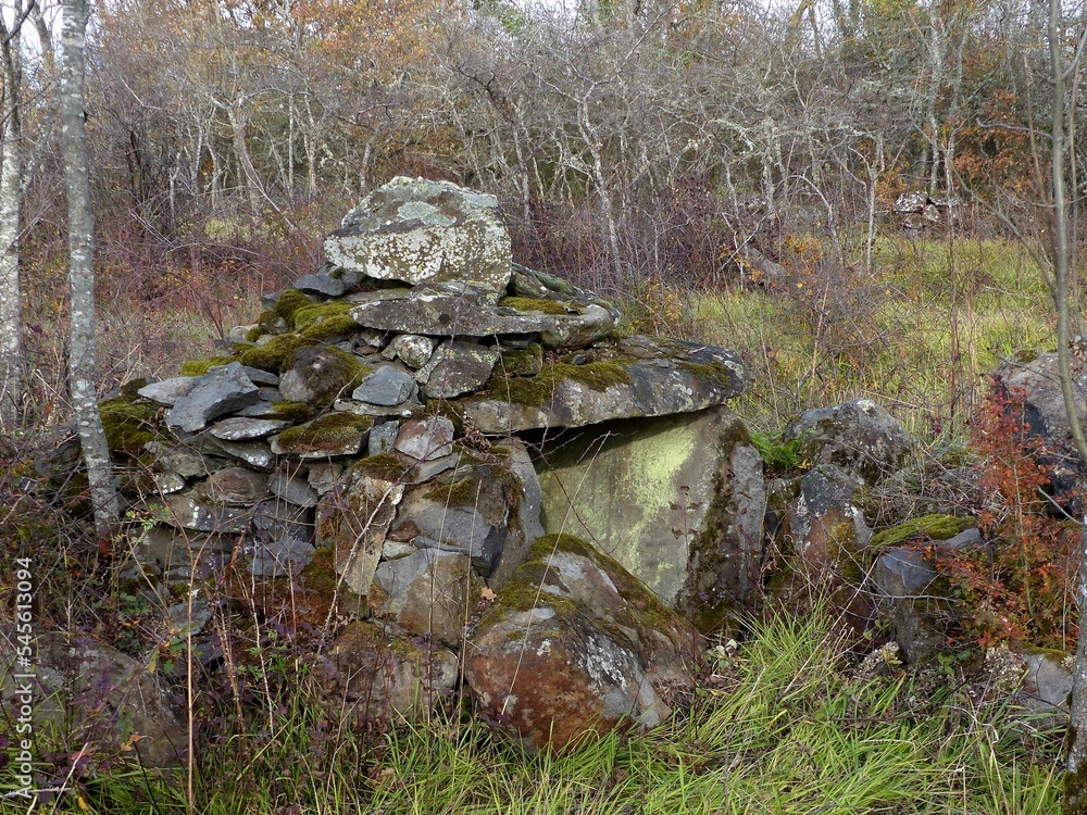 hutte de pierre servant d'abri pour les bergers avec ses grosses lauzes formant le toit et recouverte de mousses vertes au bord d'un chemin de randonnée dans le puy de dôme hutte de pierre servant d'abri pour les bergers avec ses grosses lauzes formant le toit et recouverte de mousses vertes au bord d'un chemin de randonnée dans le puy de dôme