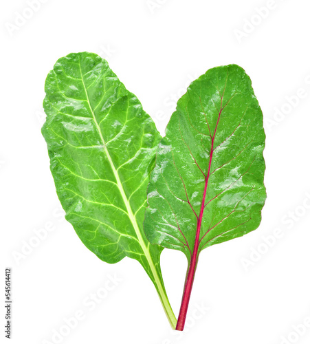 Swiss chard leaf  isolated on white background