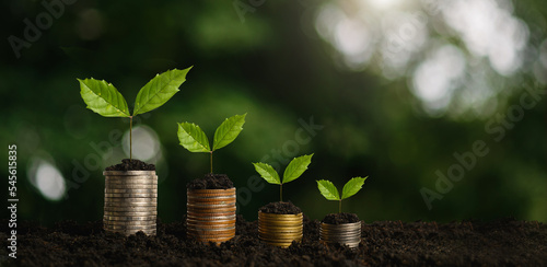 money growth concept, business success concept, tree growing on pile of coins. Finance growing concept...