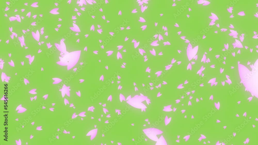 舞い落ちる桜の花びらのモーショングラフィック 緑ソリッド背景 桜吹雪 舞い落ちる桜の花びらのモーショングラフィック 緑ソリッド背景 桜吹雪