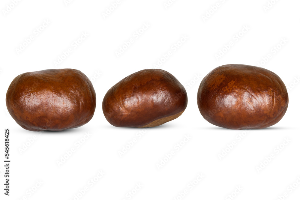 Three chestnuts isolated on a white background. Three chestnuts isolated on a white background.