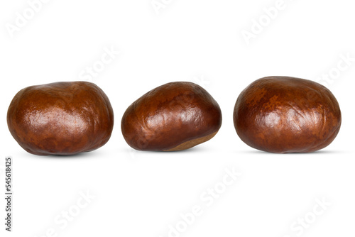 Three chestnuts isolated on a white background.