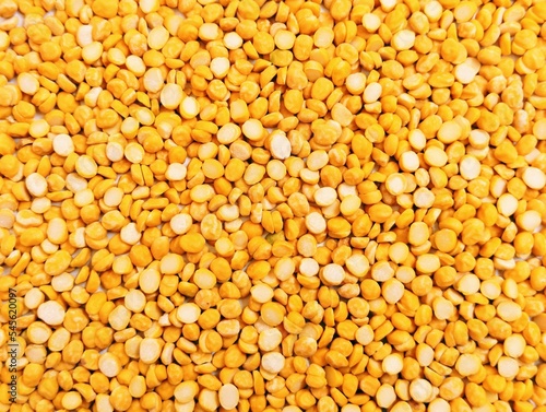 Split chickpeas legume dal chana Bengal gram lentils pulse yellow organic food full with protein harbara channa daal uncooked splitchickpea heap pile closeup view image picture stock photo.