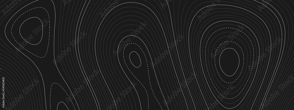 Fototapeta premium The stylized black and white abstract topographic map with lines and circles background. Topography gradient linear background with copy space. Vector illustration.