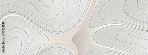 The stylized black and white abstract topographic map with lines and circles background. Topography gradient linear background with copy space. Vector illustration.