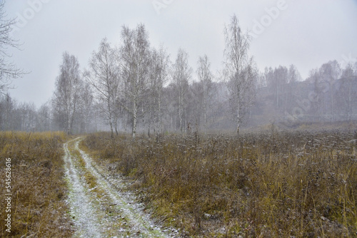 First snow in the autumn forest