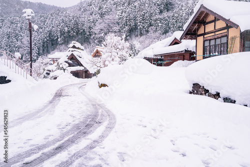京都府南丹市美山町茅葺きの里の冬景色 © 隆司 西野