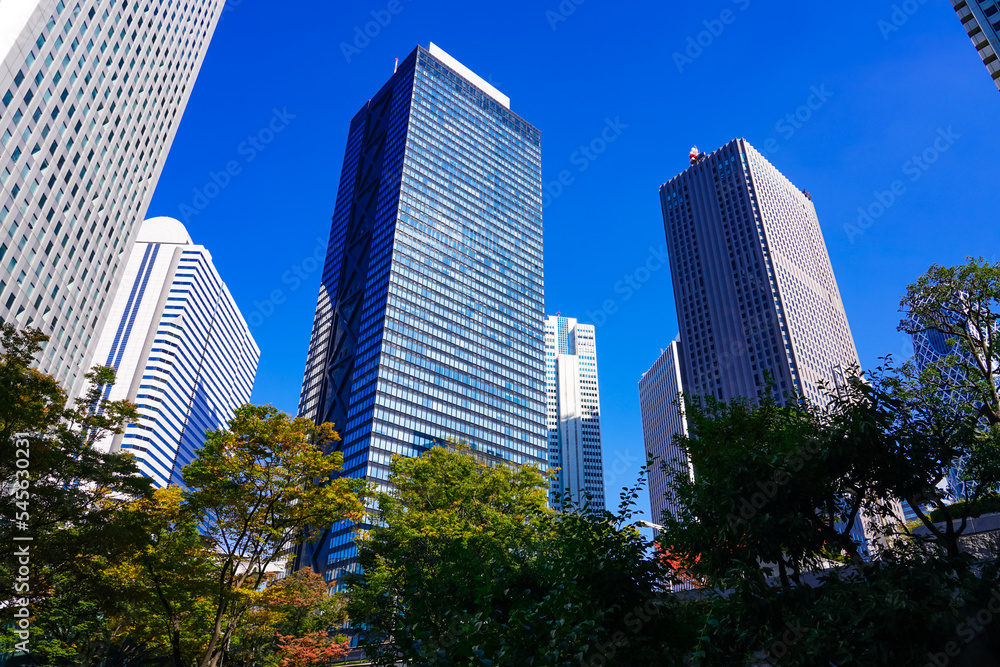 秋晴れの西新宿 高層ビル街の紅葉（東京都新宿区）