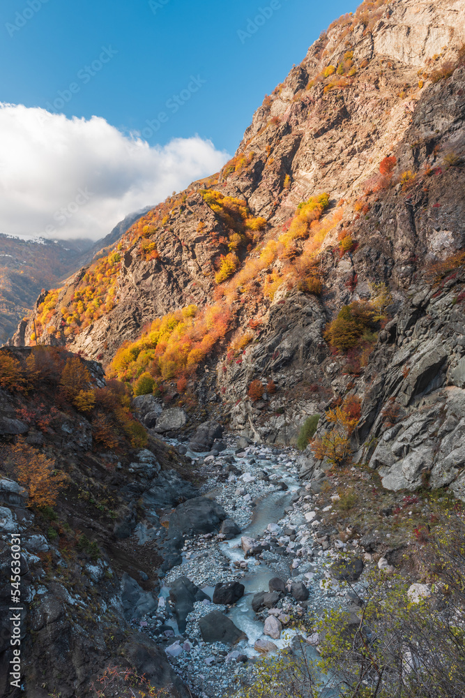 River in a mountain gorge in autumn season