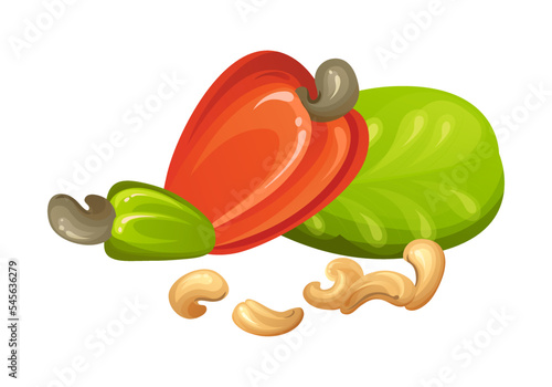 Red cashew nut. Unripe and ripe exotic yellow fruit with green leaves. Cartoon vector illustration