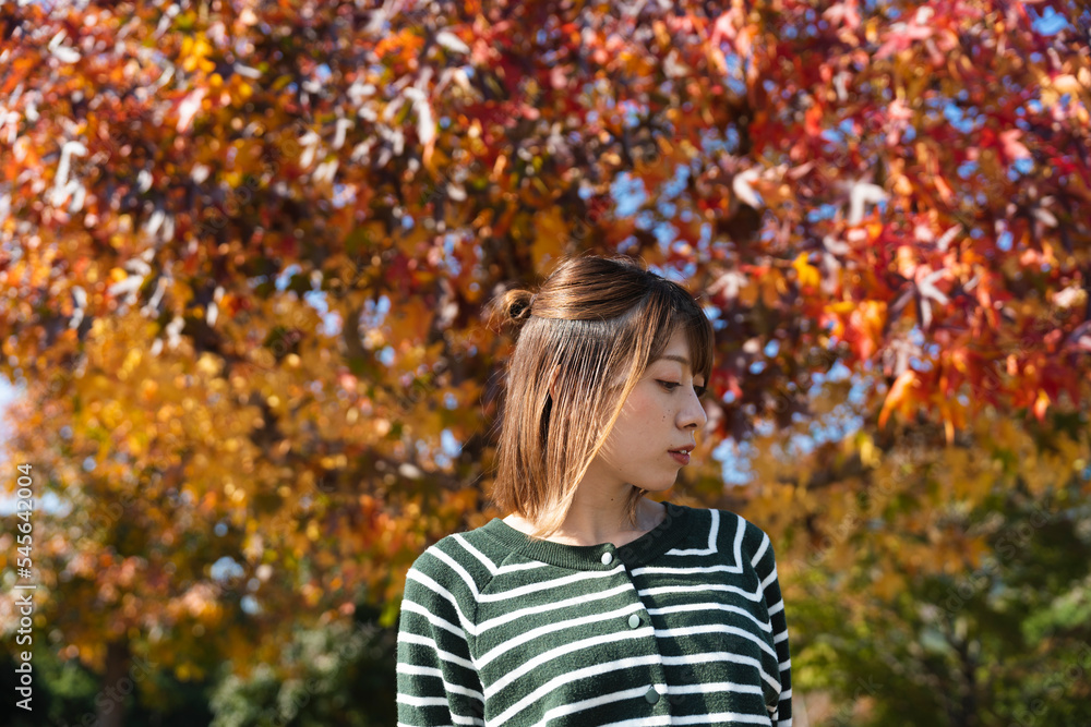 公園を散策する女性 公園を散策する女性