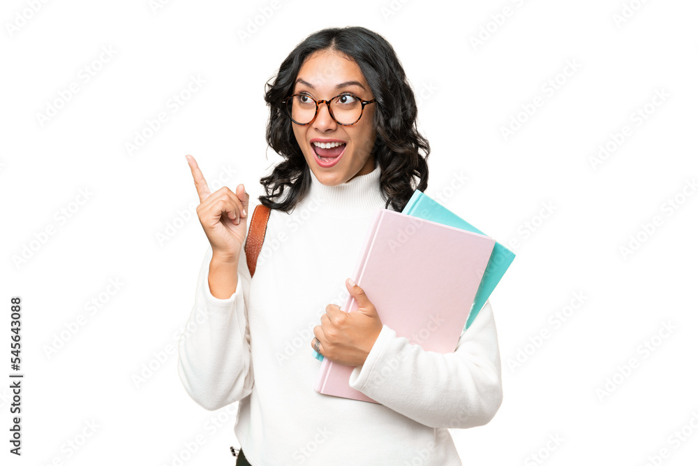 Young Argentinian student woman over isolated background intending to realizes the solution while lifting a finger up