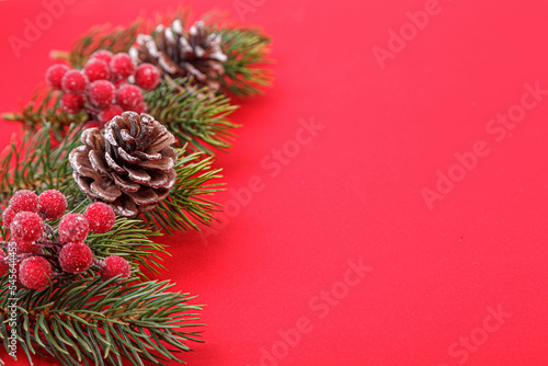 Christmas tree branches with cones on a red background