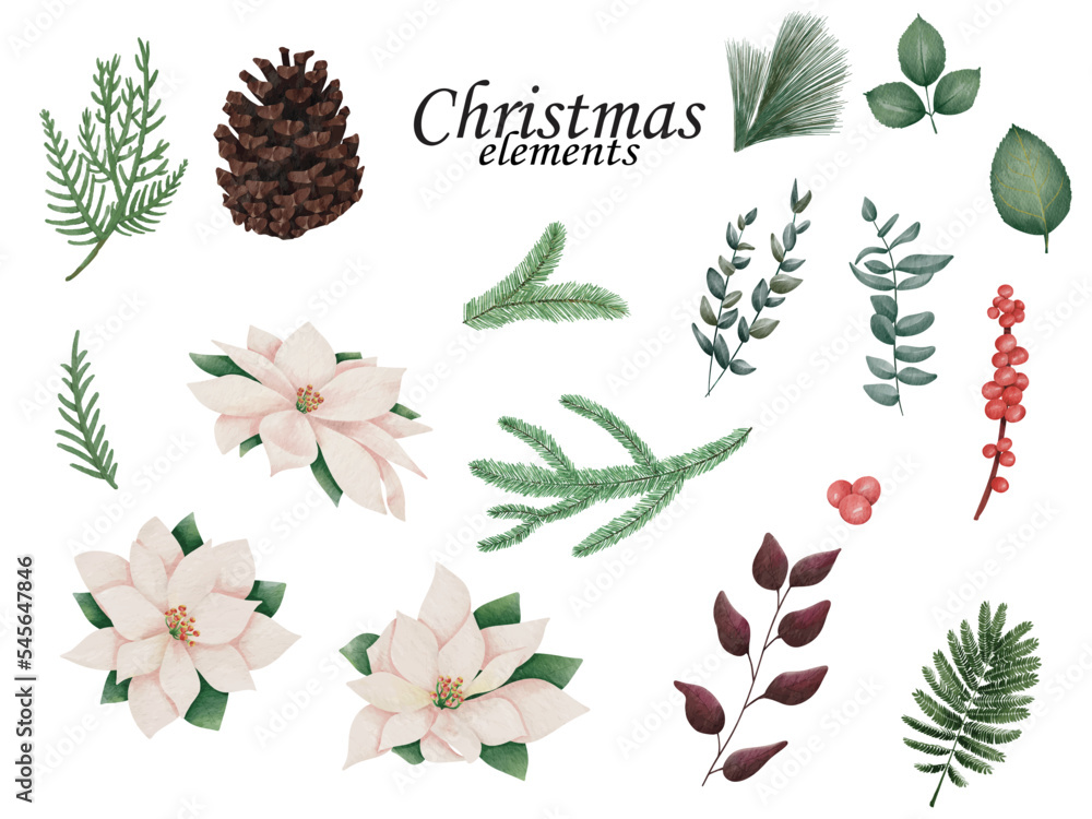 Fototapeta premium Poinsettia Flowers and Christmas Floral Elements. Hand drawn illustration collection on white background. Christmas floral collection for invitations, greeting card, textile, fabric, posters.
