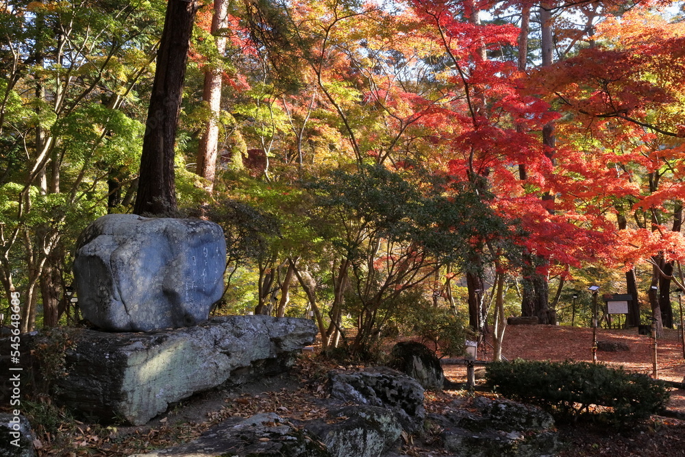 Obraz premium 埼玉 長瀞の風景