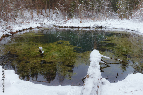 Saula blue springs (siniallikad in Estonian) at snowy winter photo