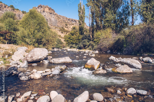 Forest flowing stream picturesque view among the trees sunlit grove. Armenian stock photography