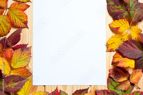 A white sheet of paper surrounded by bright autumn tree leaves lying on a wooden surface.