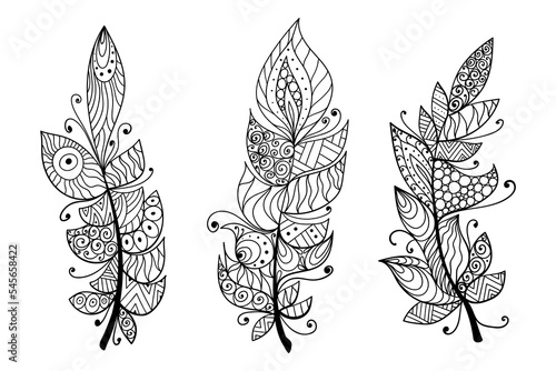 Hand drawn creative feather set for coloring. Vector artistic illustration.